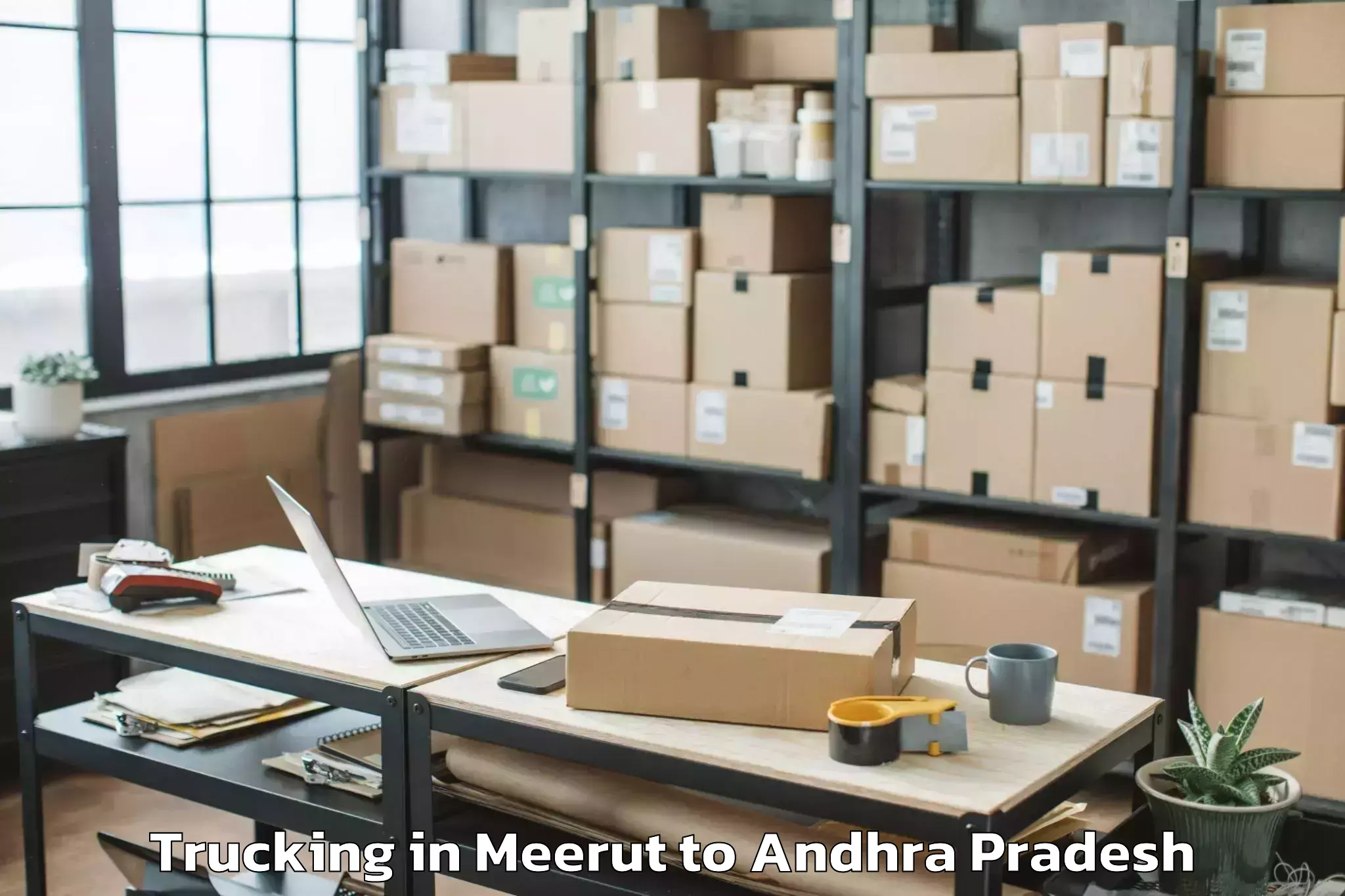 Book Meerut to Ponnuru Trucking Online